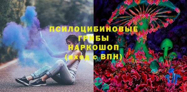 дживик Аркадак