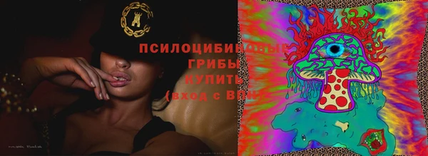 дживик Аркадак