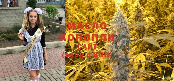 дживик Аркадак